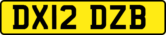 DX12DZB