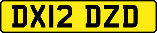 DX12DZD
