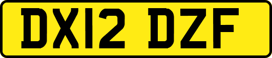 DX12DZF