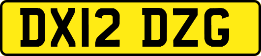DX12DZG