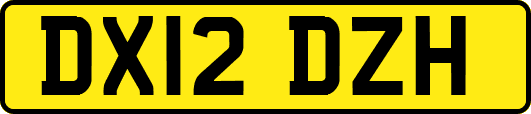 DX12DZH