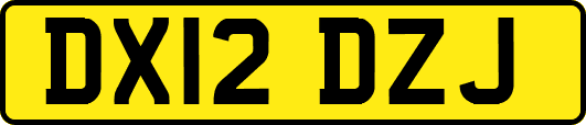 DX12DZJ