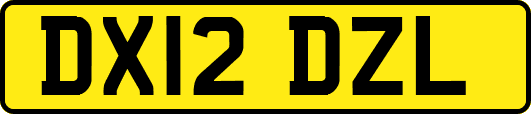 DX12DZL