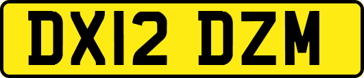 DX12DZM
