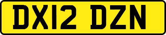 DX12DZN
