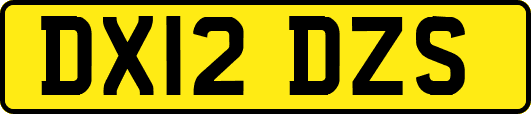 DX12DZS