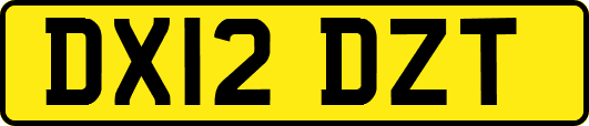 DX12DZT