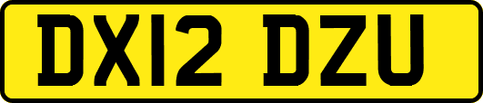 DX12DZU