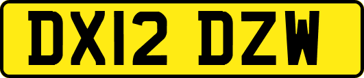 DX12DZW