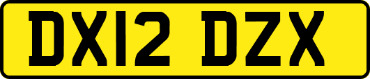 DX12DZX