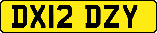 DX12DZY