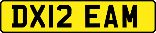DX12EAM