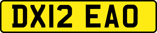 DX12EAO