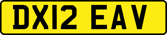 DX12EAV