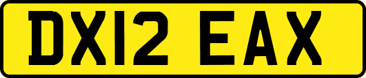 DX12EAX