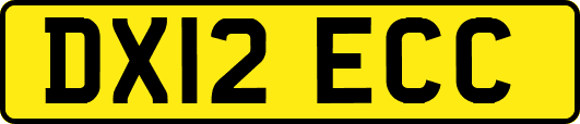 DX12ECC