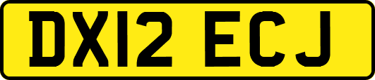 DX12ECJ
