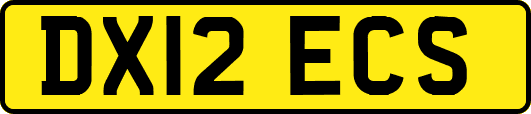 DX12ECS