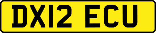 DX12ECU