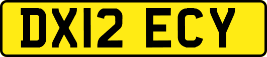 DX12ECY