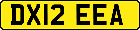 DX12EEA