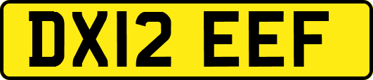 DX12EEF