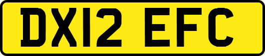 DX12EFC
