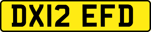DX12EFD