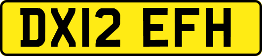 DX12EFH