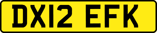 DX12EFK