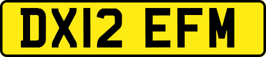 DX12EFM