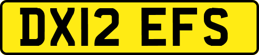 DX12EFS