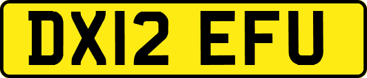 DX12EFU