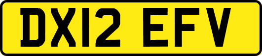 DX12EFV