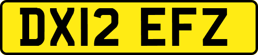 DX12EFZ