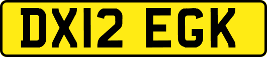 DX12EGK
