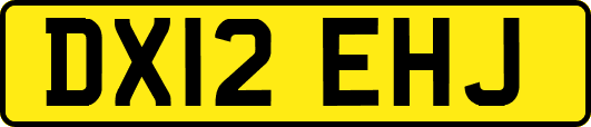 DX12EHJ