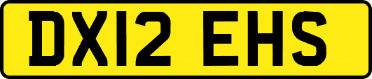 DX12EHS