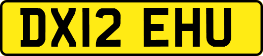 DX12EHU