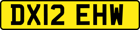DX12EHW