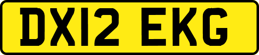 DX12EKG