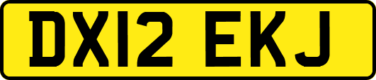 DX12EKJ