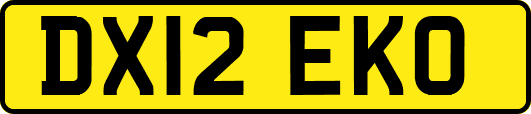DX12EKO