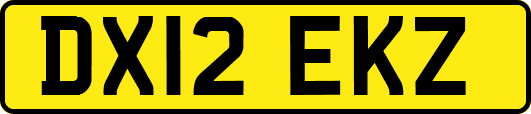 DX12EKZ