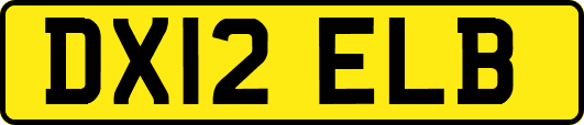 DX12ELB