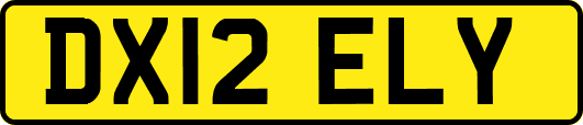 DX12ELY
