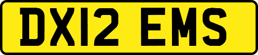 DX12EMS