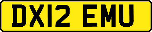 DX12EMU