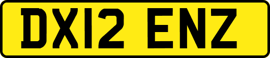 DX12ENZ