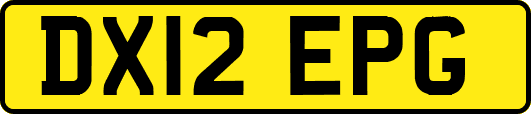 DX12EPG